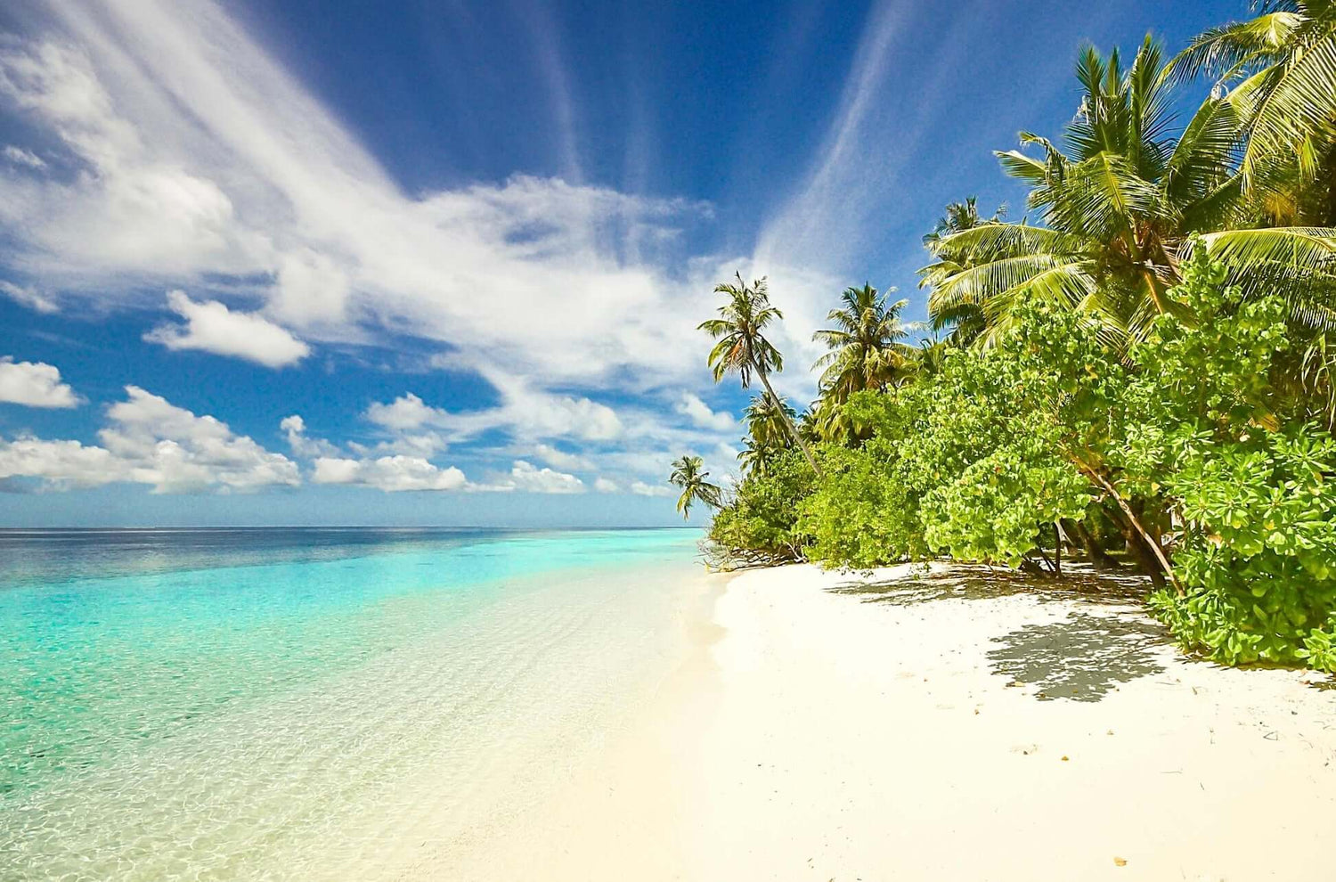 Sandy beach with palm trees and blue skies